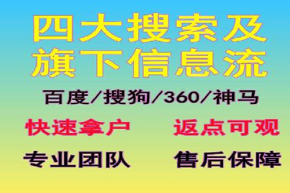 SEO百度推广策略：成功案例解析